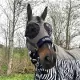 AB insectenmasker Sunny